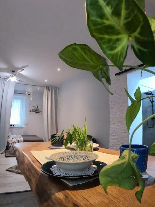 Apartment Urocze W Sercu Cieplic Warmbrunn
